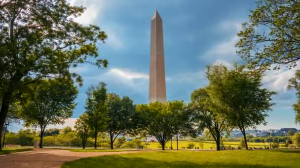 Washington DC 'deki yansıtma havuzunda Washington anıtı. — Stok video