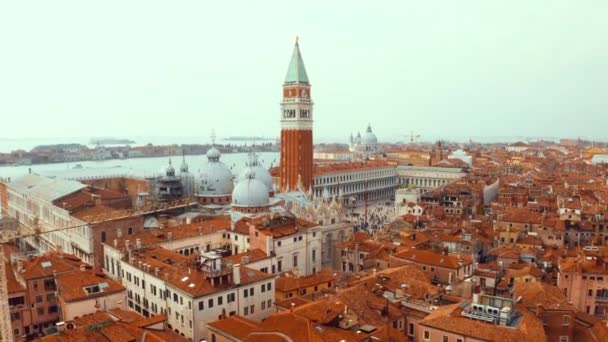 Antenn morgon utsikt över st märken fyrkantig i venice — Stockvideo