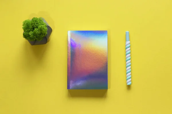 Holografik defter, kalem ve mini yosun.. — Stok fotoğraf