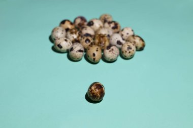 Yeşil arka planda bir grup bıldırcın yumurtasının karşısında bıldırcın yumurtası.