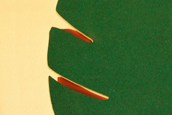 Часть зеленого листа пробки, снятого крупным планом на персиковой стене — стоковое фото