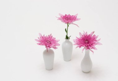 Her çeşidinde çok güzel..