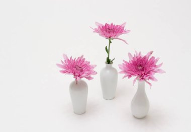 Her çeşidinde çok güzel..