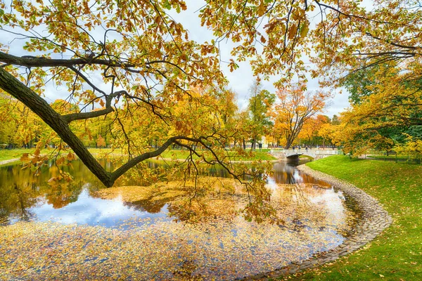 Beautiful Autumn Scenery City Park Red Yellow Leaves — Stock Photo, Image