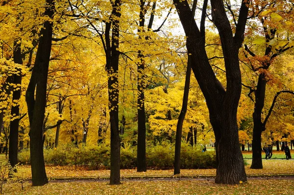 Beautiful Autumn Scenery City Park Red Yellow Leaves — Stock Photo, Image