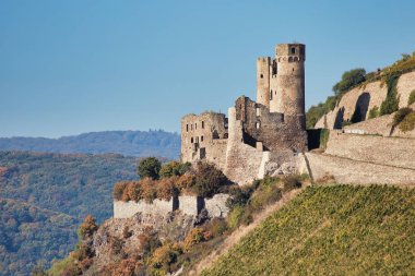 Ehrenfels şatosunun kalıntıları Almanya 'daki Ren nehrinin yanında.