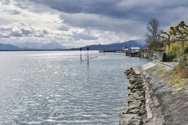 On a street there are 3 green recycling bins on a hedge. Translation: 