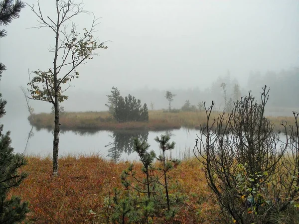 Moorland egy kis tó a korai köd — Stock Fotó
