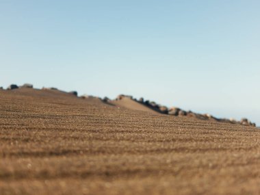 Kanarya Adaları 'nda kum tepesi