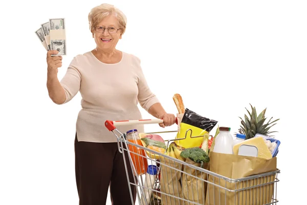 Mulher posando com carrinho de compras e pilhas de dinheiro — Fotografia de Stock