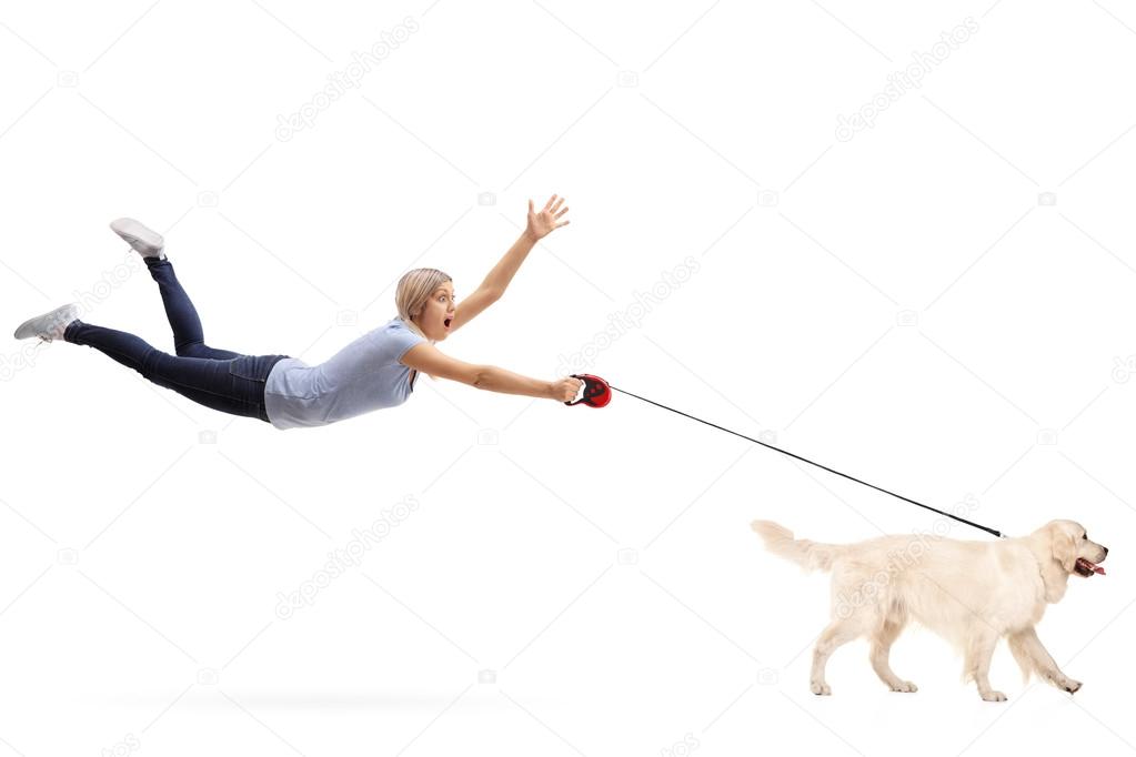 Young woman being pulled by her dog Stock Photo by ©ljsphotography