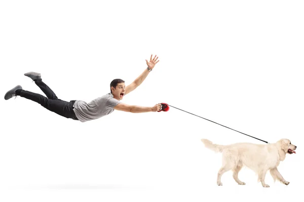 Guy being pulled by his dog — Stock Photo, Image