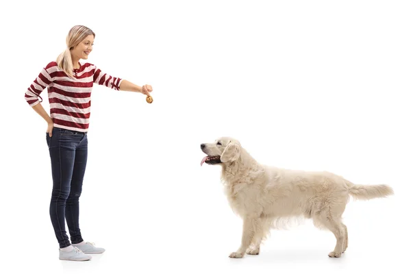 Femme donnant un cookie à un chien — Photo