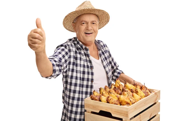 Mature farmer holding crate and giving a thumb up — Stock Photo, Image