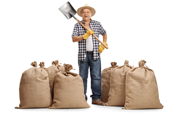 Agricoltore in piedi tra sacchi di iuta — Foto Stock