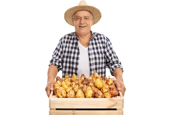 Alegre granjero senior sosteniendo una caja llena de peras — Foto de Stock