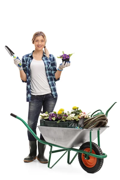 Jardinero femenino sosteniendo flor y pala —  Fotos de Stock