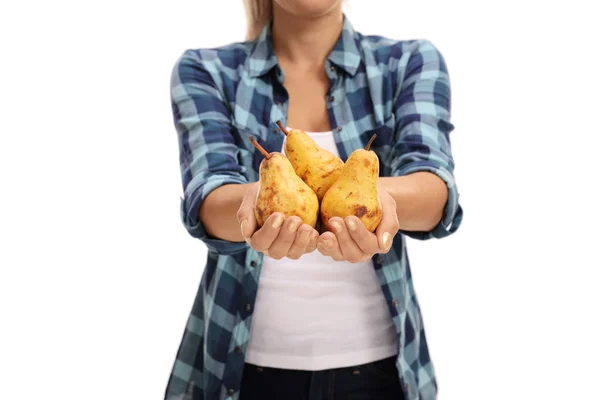 Female hands holding pears — Stockfoto