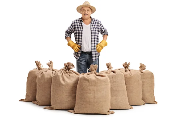 Mature farmer standing behind burlap sacks — Stock fotografie