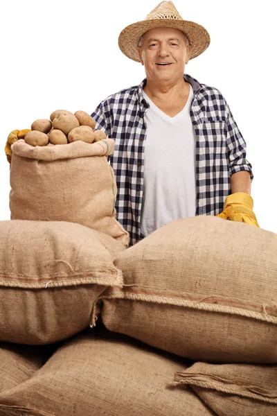Mature agricultural worker posing with sacks with potatoes — Stock fotografie