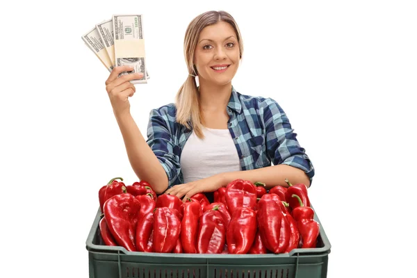 Samice zemědělce pózuje s bednu a peníze balíčků — Stock fotografie