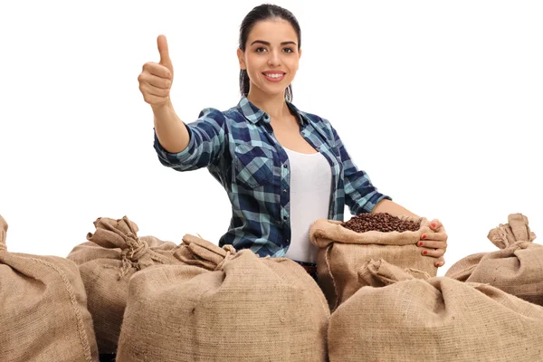 Agricultor con sacos de arpillera llenos de café y dando pulgar hacia arriba — Foto de Stock