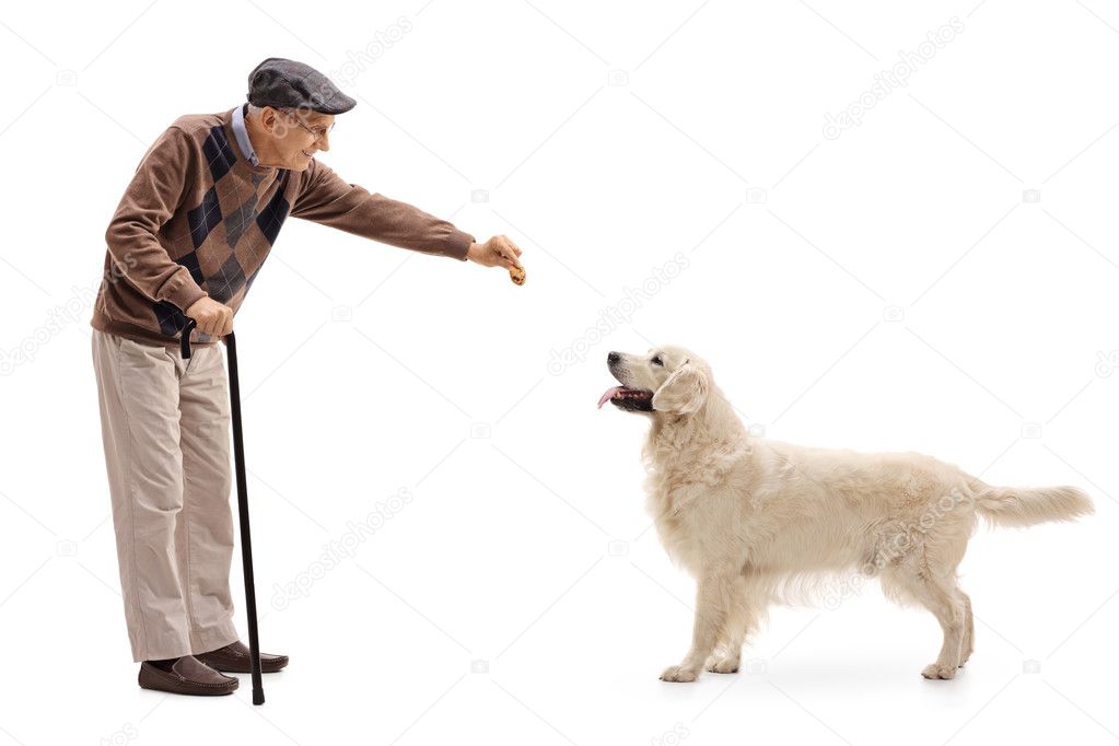 Elderly man giving a cookie to a dog