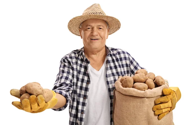 Пожилой фермер держит в руках пару картошек и мешок с картошкой. — стоковое фото