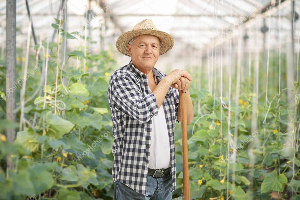 Mature farmer posing in a greenhouse
