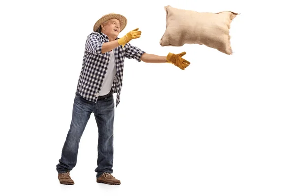 成熟した農夫、黄麻布の袋を投げる — ストック写真