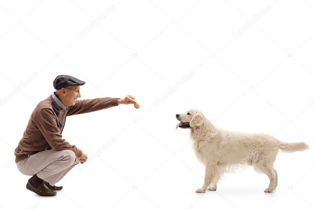 Mature man kneeling and giving a cookie to a dog