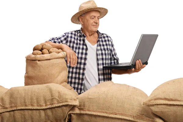 Elderly farmer with sacks filled with potatoes looking at laptop — Stock Photo, Image