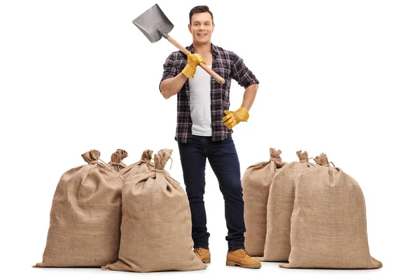 Farmer with a shovel standing between burlap sacks — Stock Photo, Image