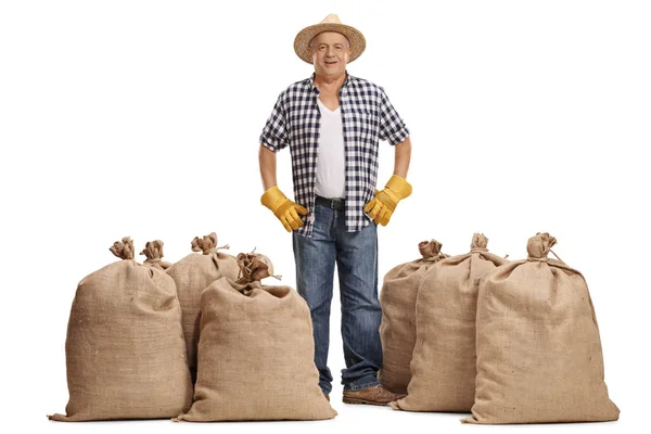 Älterer Bauer steht zwischen Säcken voller Kleckse — Stockfoto