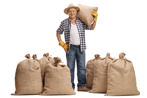 成熟した農家では、黄麻布の袋を肩に乗せて — ストック写真
