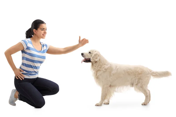 Vrouw die een hond aaien — Stockfoto