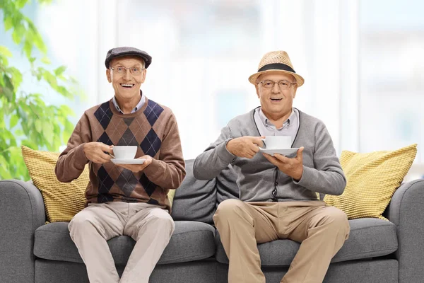 Dos ancianos alegres con copas — Foto de Stock