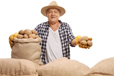 Olgun çiftçi ile bir çuval çuval ve patates
