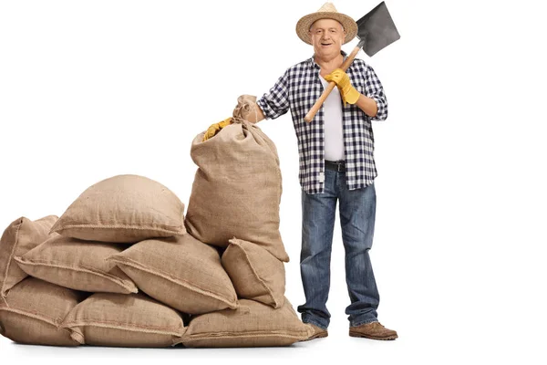 Agriculteur avec une pelle debout à côté d'une pile de sacs de toile de jute — Photo