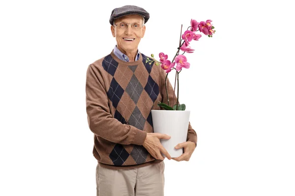 Senior with an orchid flower in a pot — Stock Photo, Image