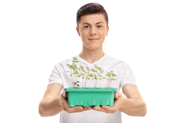 Teenager giving a plant in a pot — Stock Photo, Image