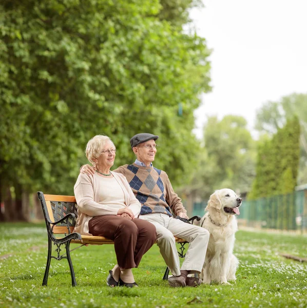 Bejaarde echtpaar met een hond op een bank in een park — Stockfoto