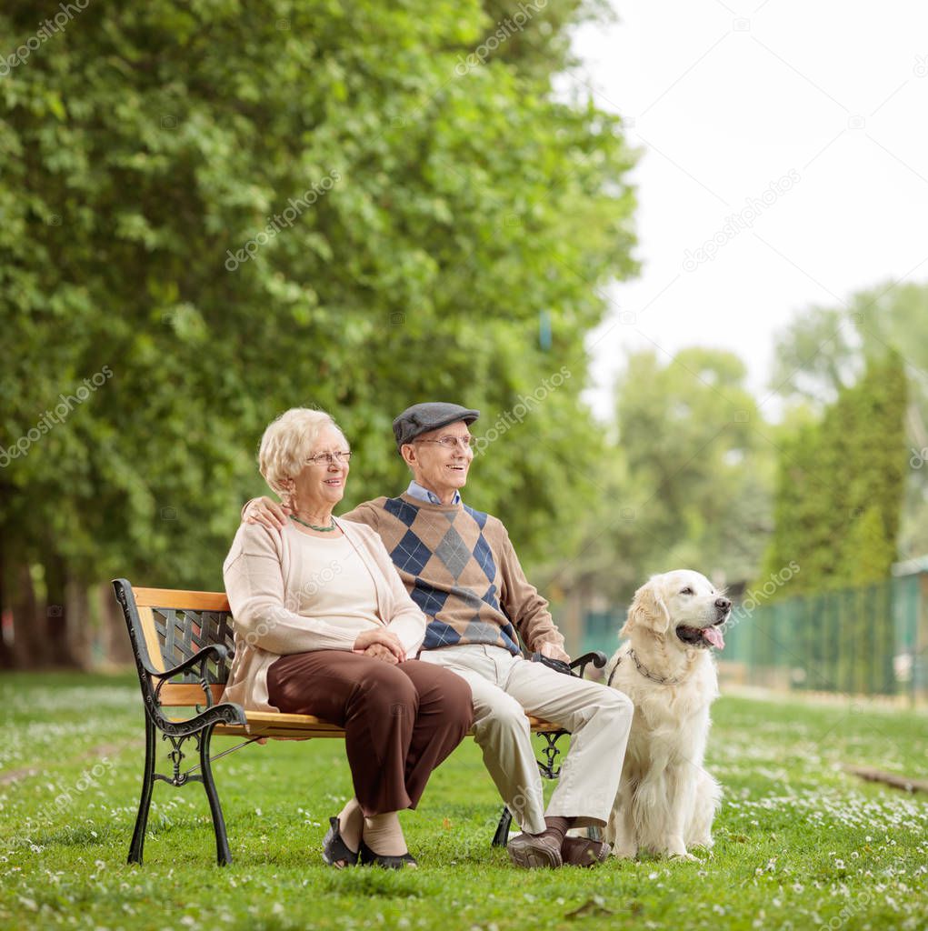 Elderly couple with a dog on a bench in a park