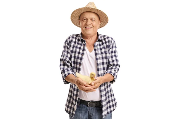 Agricultor de edad avanzada sosteniendo un patito pequeño —  Fotos de Stock