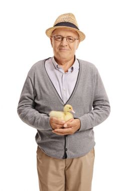 Yaşlı adam bir ördek yavrusu holding