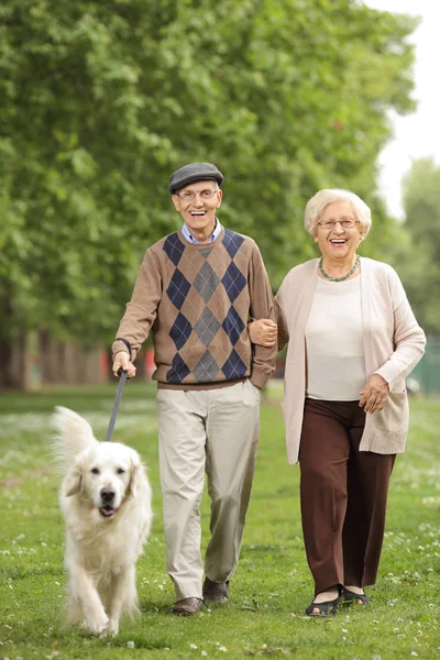 Seniorenpaar geht mit Hund im Park spazieren — Stockfoto