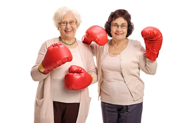 Gioiosa donne mature con guanti da boxe — Foto Stock