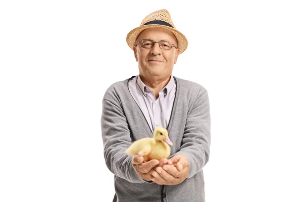 Elderly man with a small duckling — Stock Photo, Image