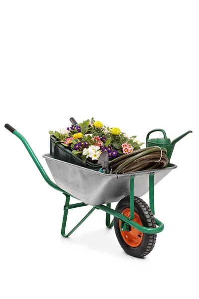 Wheelbarrow filled with flowers and gardening equipment — Stock Photo, Image