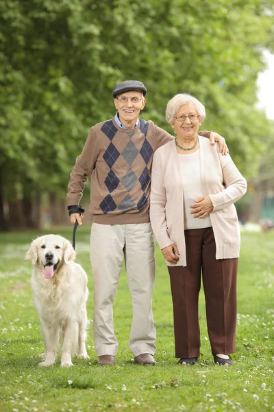 Senior couple with a dog in the park — Stock Photo, Image